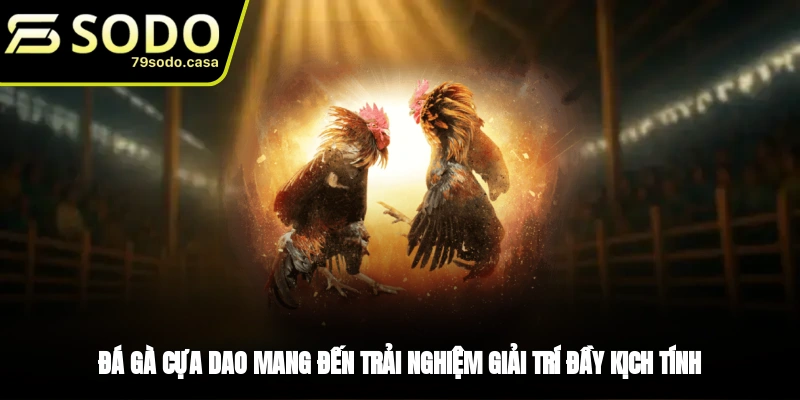 Giới thiệu hình thức đá gà cựa dao