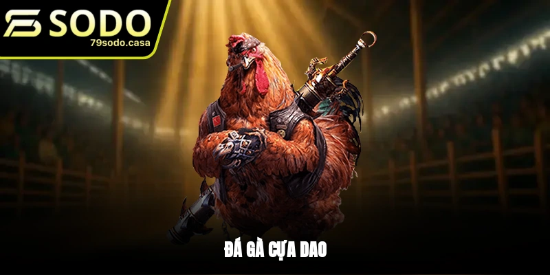 Đá gà cựa dao